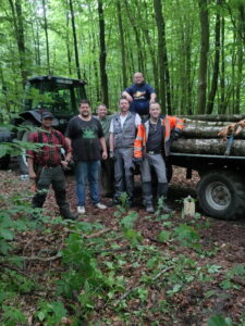 Holz_ - 1