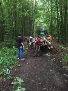 Holz_ - 4