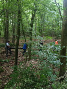 Holz_ - 5