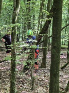 Holz_ - 7